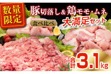 数量限定 豚肉 切り落とし 鶏肉 モモ ムネ セット 合計3.1kg 国産 食品 ポーク チキン おかず 人気 大容量 万能食材 焼肉 から揚げ 炒め物 お弁当 おつまみ 詰め合わせ 食べ比べ 小分け 便利 おすすめ グルメ お取り寄せ おすそ分け 宮崎県 日南市 送料無料_C146-25