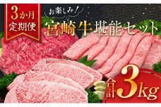 3か月 お楽しみ 定期便 宮崎牛 堪能 セット 合計3kg 牛肉 黒毛和牛 国産 ブランド牛 ミヤチク 肩ロース モモ ステーキ スライス しゃぶしゃぶ すき焼き 焼肉 4等級以上 高級 贅沢 ご褒美 お祝 記念日 おかず お取り寄せ グルメ 食品 宮崎県 日南市 送料無料_L9-25