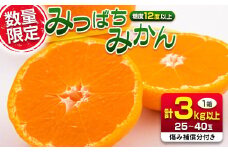 先行予約 みつばちみかん 計3kg以上 傷み補償分付き 期間限定 数量限定 果物 くだもの フルーツ 蜜柑 ミカン 柑橘 オレンジ おやつ デザート みかんジュース 飲み物 小ぶり おすすめ おすそ分け 国産 食品 産地直送 贈り物 お土産 宮崎県 日南市 送料無料_AAV9-25