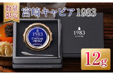 数量限定 宮崎キャビア1983 12g 魚卵 魚介 魚貝 国産 世界三大珍味 黒いダイヤ 贅沢 高級食材 上質 ご褒美 お祝い 記念日 加工品 食品 お土産 おすすめ 化粧箱 ギフト プレゼント 贈り物 贈答 パーティー おつまみ お取り寄せ グルメ 宮崎県 日南市 送料無料_ED9-25