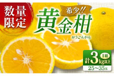 先行予約 新感覚シトラス 黄金柑 おうごんかん 計3kg以上 令和8年発送 期間限定 数量限定 希少 果物 くだもの フルーツ 国産 食品 柑橘 みかん 蜜柑 ゴールデンオレンジ デザート おやつ おすすめ おすそ分け 手土産 ギフト 贈り物 宮崎県 日南市 送料無料_AAV8-25