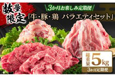 数量限定 3か月 お楽しみ 定期便 牛肉 豚肉 鶏肉 バラエティ セット 総重量5kg 宮崎牛 黒毛和牛 国産 ブランド牛 食品 おかず お弁当 おつまみ 切り落とし 切身 焼肉 からあげ お取り寄せ グルメ 小分け 真空パック おすそ分け 宮崎県 日南市 送料無料_G62-25