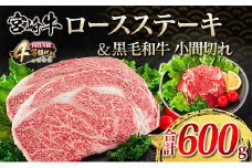 宮崎牛 ロース ステーキ 黒毛和牛 小間切れ セット 合計600g 牛肉 ビーフ 国産 万能食材 ブランド牛 おかず お弁当 おつまみ 食品 おすすめ 焼肉 バーベキュー 鉄板焼き 高級 ご褒美 お祝 記念日 お取り寄せ グルメ 冷凍 詰め合わせ 宮崎県 日南市 送料無料_F62-21