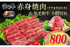 宮崎牛 赤身 焼肉 黒毛和牛 小間切れ セット 合計800g 牛肉 ビーフ 国産 うで もも ブランド牛 人気 おすすめ 万能食材 食品 お取り寄せ グルメ 詰め合わせ 贅沢 ご褒美 お祝い 記念日 おかず 弁当 おつまみ BBQ 鉄板焼き おすそ分け 宮崎県 日南市 送料無料_DA20-23
