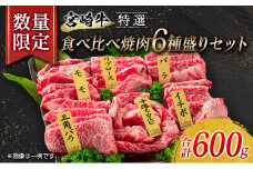 数量限定 特選 宮崎牛 食べ比べ 焼肉 6種盛り セット 合計600g 牛肉 ビーフ 黒毛和牛 ロース 肩ロース カルビ バラ 赤身肉 霜降り 中落ち BBQ 贅沢 ご褒美 お祝い 記念日 おもてなし おかず 国産 食品 おすすめ お取り寄せ グルメ 宮崎県 日南市 送料無料_EB6-21