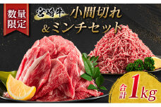 数量限定 宮崎牛 小間切れ ミンチ セット 合計1kg 牛肉 ビーフ 黒毛和牛 国産 ブランド牛 食品 こま切れ 牛ミンチ 挽肉 万能食材 ハンバーグ おすすめ おかず おつまみ お弁当 ご褒美 お祝い 記念日 詰め合わせ お取り寄せ グルメ 宮崎県 日南市 送料無料_BB126-23