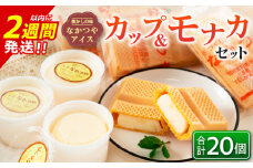 手作り アイス カップ ＆ モナカ セット 合計20個 スイーツ お菓子 食品 加工品 最中 なかつや 国産 おやつ デザート ご褒美 昔ながら 手作り 子供 乳製品 氷菓 詰め合わせ 食べ比べ お取り寄せ グルメ おすそ分け おすすめ 懐かしい 宮崎県 日南市 送料無料_CA34-23