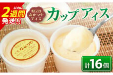 手作り アイス カップ セット 計16個 スイーツ デザート おやつ 国産 食品 加工品 お菓子 氷菓 なかつや 昔ながら 懐かしの味 ご褒美 お祝い 記念日 ギフト 贈り物 プレゼント お取り寄せ グルメ おすすめ おすそ分け 詰め合わせ 宮崎県 日南市 送料無料_CA35-23