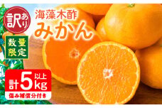 訳あり 数量限定 海藻木酢みかん 計5kg以上 傷み補償分付き フルーツ 果物 くだもの 柑橘 みかん 国産 期間限定 食品 家庭用 自宅用 B品 わけあり オレンジ デザート おやつ おすすめ おすそ分け ご褒美 お取り寄せ グルメ 産地直送 宮崎県 日南市 送料無料_A94-25