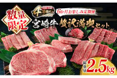 数量限定 6か月 お楽しみ 定期便 宮崎牛 贅沢 満喫 セット 総重量2.5kg 黒毛和牛 ブランド牛 牛肉 国産 ビーフ 人気 食品 焼肉 ステーキ スライス 小間切れ しゃぶしゃぶ すき焼き ミヤチク お取り寄せ グルメ ご褒美 記念日 お祝 宮崎県 日南市 送料無料_NA1-25