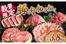 数量限定 豚肉 わくわく セット 合計3.8kg ポーク 国産 豚ロース とんかつ スライス 豚切り落とし 豚バラ しゃぶしゃぶ ミンチ 挽肉 ハンバーグ すき焼き 弁当 おかず おつまみ 万能食材 真空パック 大容量 詰め合わせ お取り寄せ 宮崎県 日南市 送料無料_CD66-25