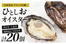 数量限定 宮崎県産 ブランド 牡蠣 ひとしおオイスター 計20個 魚介 魚貝 かき 生食用 殻付き 国産 おかず おつまみ 食品 海鮮 海産物 シーフード BBQ バーベキュー アウトドア グランピング 海の幸 養殖 絶品 贅沢 ご褒美 お取り寄せ グルメ 日南市 送料無料_CB81-23