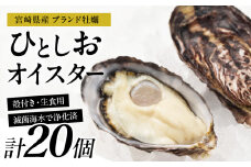 数量限定 宮崎県産 ブランド 牡蠣 ひとしおオイスター 計20個 魚介 魚貝 かき 生食用 殻付き 国産 おかず おつまみ 食品 海鮮 海産物 シーフード BBQ バーベキュー アウトドア グランピング 海の幸 養殖 絶品 贅沢 ご褒美 お取り寄せ グルメ 日南市 送料無料_CB81-23