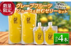 数量限定 グレープフルーツ ジュース 飲む ゼリー セット 合計4本 便利 パウチ パック ローカルフードプロジェクト 飲料 ドリンク 果物 くだもの フルーツ 柑橘 ストレート 果汁100% 天然由来 おやつ デザート おすすめ お取り寄せ 宮崎県 日南市 送料無料_CD49-23