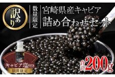 訳あり 数量限定 5つ星ホテル採用 宮崎県産 キャビア 詰め合わせ セット 合計200g 期間限定 キャビア塩付き 魚卵 魚介 魚貝 国産 熟成 新鮮 高級 希少 食品 三大珍味 黒いダイヤ おすすめ 水産物 おつまみ ご褒美 お祝い 記念日 パーティー 日南市 送料無料_XF1-25-C