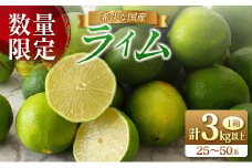 先行予約 皮まで使える ライム 計3kg以上 希少 国産ライム 果物 くだもの フルーツ 柑橘 期間限定 数量限定 おすすめ 塩ライム ジュース 飲み物 サラダ 調味料 焼肉 バーベキュー BBQ デザート おすそ分け 産地直送 食品 お土産 宮崎県 日南市 送料無料_AV2-25
