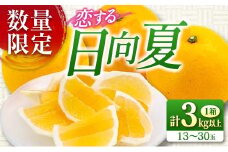 先行予約 酸味と甘味は恋の味 恋する 日向夏 計3kg以上 令和8年発送 期間限定 数量限定 果物 くだもの フルーツ 国産 食品 柑橘 みかん 蜜柑 オリジナル ブランド デザート おやつ ひゅうがなつ おすすめ おすそ分け 手土産 ギフト 宮崎県 日南市 送料無料_AV1-25