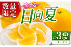先行予約 酸味と甘味は恋の味 恋する 日向夏 計3kg以上 令和8年発送 期間限定 数量限定 果物 くだもの フルーツ 国産 食品 柑橘 みかん 蜜柑 オリジナル ブランド デザート おやつ ひゅうがなつ おすすめ おすそ分け 手土産 ギフト 宮崎県 日南市 送料無料_AV1-25