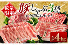 数量限定 豚しゃぶ 3種 小間切れ セット 合計4kg 豚肉 ポーク 人気 豚ロース スライス肉 豚バラ しゃぶしゃぶ サラダ 個包装 小分け 万能食材 おかず お弁当 おつまみ 食べ比べ 詰め合わせ お取り寄せ グルメ おすそ分け 冷凍 お土産 宮崎県 日南市 送料無料_DA43-25