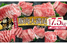 数量限定 5か月 お楽しみ 隔月 定期便 豚肉 大満足 セット 総重量7.5kg ポーク 国産 宮崎県産 しゃぶしゃぶ スライス 焼肉 大容量 豚ロース 豚肩ロース 豚バラ 豚しゃぶ 食品 おかず おつまみ お弁当 食べ比べ 詰め合わせ BBQ おすすめ 日南市 送料無料_JG2-23