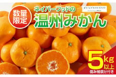 ネイバーフッド 温州みかん 計5kg以上 傷み補償分付き 期間限定 数量限定 フルーツ 果物 くだもの ミカン 柑橘 オレンジ 人気 国産 食品 デザート おやつ おすすめ 産地直送 おすそ分け ギフト 贈り物 特産品 宮崎県 日南市 送料無料_BB157-25