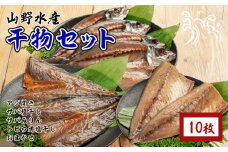 数量限定 山野水産 干物 セット 合計10枚 詰め合わせ 簡単調理 魚 魚介 加工品 食品 惣菜 おかず おつまみ 塩干し みりん干し アジ開き サバ トビウオ ひもの おすすめ 海産物 海鮮 水産加工品 ギフト 国産 宮崎県 日南市 送料無料_B232-24