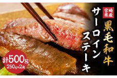 宮崎県産 黒毛和牛 サーロインステーキ 計500g(250g×2枚) 肉 牛肉 ビーフ 国産 ステーキ肉 おかず 食品 BBQ バーベキュー 焼肉 鉄板焼き おすすめ 人気 個包装 小分け 真空パック お祝い 記念日 ご褒美 贈り物 ギフト 贈答 プレゼント 宮崎県 日南市 送料無料_DC19-24