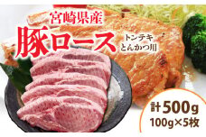 宮崎県産 豚ロース (トンテキ・とんかつ用) 計500g 肉 豚肉 ポーク 国産 食品 万能食材 真空パック 簡単調理 おかず お弁当 おつまみ 豚丼 焼肉 炒め物 カレー ステーキ おすすめ ご褒美 お祝い 記念日 日南市 送料無料_AA62-24