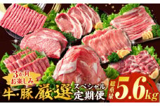 3か月 お楽しみ 牛 豚 厳選 スペシャル 定期便 総重量5.6kg 肉 牛肉 宮崎牛 肩ウデ ロースステーキ 豚肉 6種 盛り合わせ セット 豚ロース 豚バラ 小間切れ すき焼き しゃぶしゃぶ 黒毛和牛 A4 A5 和牛 国産 食品 牛丼 薄切り おすすめ ミヤチク 宮崎県産 日南市 送料無料_HE8-25