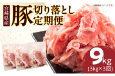 数量限定 3か月 お楽しみ 定期便 小分けで便利  豚 切り落とし 総重量9kg お肉 豚肉 国産 小分け 真空パック 個包装 万能食材 おすすめ おかず 食品 お弁当 豚丼 しゃぶしゃぶ お祝い 記念日 宮崎県 日南市 送料無料_GB3-24
