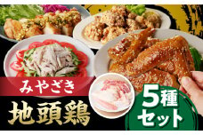数量限定 みやざき 地頭鶏 5種 セット 肉 鶏肉 とり 国産 食品 小分け 食べ比べ もも むね ささみ 手羽先 手羽元 おかず おつまみ お弁当 晩ご飯 から揚げ サラダ 焼肉 万能食材 真空パック 冷凍 おすすめ ギフト 贈り物 贈答 宮崎県 日南市 送料無料_BD98-24