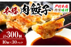 焼くだけ!!簡単調理 本格 肉 餃子 10個 × 30パック 計300個 小分け ぎょうざ ギョーザ 加工品 国産 惣菜 戸村本店 特製餃子 自家製餃子 人気 おすすめ おかず おつまみ お弁当 おすそ分け お土産 贈り物 ギフト 贈答 プレゼント 宮崎県 日南市 送料無料_FG8-25