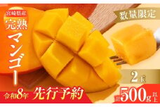 数量限定 宮崎県産 完熟マンゴー 2玉 計500g以上 期間限定 フルーツ スイーツ 果物 くだもの 食品 グルメ デザート 国産 産地直送 人気 おすすめ おやつ 高級 ご褒美 贅沢 贈り物 ギフト プレゼント 令和8年発送分 宮崎県 日南市 送料無料_BD106-25