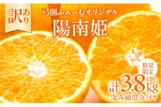 先行予約 訳あり オリジナル ブランド 陽南姫 計3.8kg以上 傷み補償分付き 令和8年発送 期間限定 数量限定 フルーツ 果物 くだもの 柑橘 みかん 訳アリ 家庭用 不揃い 傷 規格外 国産 食品 デザート ジュース おやつ 希少 おすすめ 宮崎県 日南市 送料無料_AAV4-25