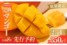 数量限定 宮崎県産 完熟マンゴー 2L×1玉 計350g以上 期間限定 フルーツ スイーツ 果物 くだもの 食品 グルメ デザート 国産 産地直送 人気 おすすめ おやつ 高級 ご褒美 贅沢 贈り物 ギフト プレゼント 令和8年発送分 宮崎県 日南市 送料無料_BA92-25