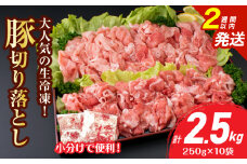大人気 生冷凍 厳選 豚切り落とし 計2.5kg 豚肉 おすすめ 国産 食品 焼肉 肉じゃが 豚汁 野菜炒め おかず お弁当 晩ご飯 グルメ 小分け 個包装 真空パック おすそ分け お取り寄せ 新鮮 万能食材 宮崎県 日南市 送料無料_CV5-25-2W