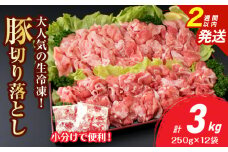 大人気 生冷凍 厳選 豚切り落とし 計3kg 豚肉 おすすめ 国産 食品 焼肉 肉じゃが 豚汁 野菜炒め おかず お弁当 晩ご飯 グルメ 小分け 個包装 真空パック おすそ分け お取り寄せ 新鮮 万能食材 宮崎県 日南市 送料無料_CB111-25-2W