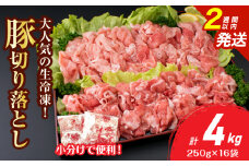 大人気 生冷凍 厳選 豚切り落とし 計4kg 豚肉 おすすめ 国産 食品 焼肉 肉じゃが 豚汁 野菜炒め おかず お弁当 晩ご飯 グルメ 小分け 個包装 真空パック おすそ分け お取り寄せ 新鮮 万能食材 宮崎県 日南市 送料無料_DB36-25-2W