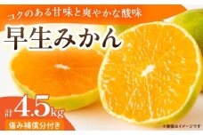 早生みかん 計4.5kg 傷み補償分付き 期間限定 果物 くだもの フルーツ 蜜柑 ミカン 柑橘 オレンジ おやつ デザート みかんジュース 飲み物 ビタミン補給 おすすめ おすそ分け 国産 食品 産地直送 お祝い お返し ギフト 贈り物 お土産 宮崎県 日南市 送料無料_BC126-25