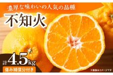 先行予約 不知火 計4.5kg 傷み補償分付き 期間限定 果物 くだもの フルーツ 蜜柑 ミカン 柑橘 おやつ デザート みかんジュース ゼリー シャーベット おすすめ おすそ分け 国産 食品 産地直送 お祝い お返し ギフト 贈り物 贈答 宮崎県 日南市 送料無料_CB112-25