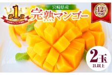 リピーター続出!!宮崎県産 完熟 マンゴー 2L以上×2玉 令和8年発送分 数量限定 フルーツ 果物 果汁 希少 濃厚 ジューシー 贅沢 上質 ご褒美 人気 国産 食品 おやつ デザート 産地直送 おすすめ ギフト プレゼント 贈り物 お土産 手土産 南国 日南市 送料無料_C123-24