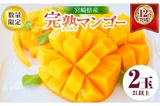リピーター続出!!宮崎県産 完熟 マンゴー 2L以上×2玉 令和8年発送分 数量限定 フルーツ 果物 果汁 希少 濃厚 ジューシー 贅沢 上質 ご褒美 人気 国産 食品 おやつ デザート 産地直送 おすすめ ギフト プレゼント 贈り物 お土産 手土産 南国 日南市 送料無料_C123-24