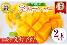 リピーター続出!!宮崎県産 完熟 マンゴー 2L以上×2玉 令和8年発送分 数量限定 フルーツ 果物 果汁 希少 濃厚 ジューシー 贅沢 上質 ご褒美 人気 国産 食品 おやつ デザート 産地直送 おすすめ ギフト プレゼント 贈り物 お土産 手土産 南国 日南市 送料無料_C123-24