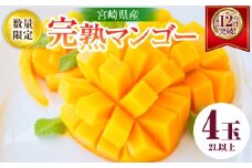 リピーター続出!!宮崎県産 完熟 マンゴー 2L以上×4玉 令和8年発送分 数量限定 フルーツ 果物 果汁 希少 濃厚 ジューシー 贅沢 上質 ご褒美 人気 国産 食品 おやつ デザート 産地直送 おすすめ ギフト プレゼント 贈り物 お土産 手土産 南国 日南市 送料無料_ED10-25