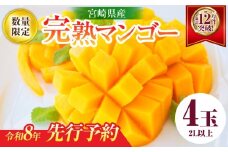 リピーター続出!!宮崎県産 完熟 マンゴー 2L以上×4玉 令和8年発送分 数量限定 フルーツ 果物 果汁 希少 濃厚 ジューシー 贅沢 上質 ご褒美 人気 国産 食品 おやつ デザート 産地直送 おすすめ ギフト プレゼント 贈り物 お土産 手土産 南国 日南市 送料無料_ED10-25