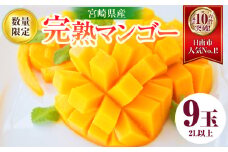 リピーター続出!!数量限定 宮崎県産 完熟 マンゴー 2L以上×9玉 フルーツ 果物 果汁 希少 濃厚 ジューシー 贅沢 上質 ご褒美 人気 国産 食品 おやつ デザート 産地直送 おすすめ ギフト プレゼント 贈り物 お土産 手土産 南国 日南市 送料無料_IF4-24