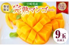 リピーター続出!!宮崎県産 完熟 マンゴー 2L以上×9玉 令和8年発送分 数量限定 フルーツ 果物 果汁 希少 濃厚 ジューシー 贅沢 上質 ご褒美 人気 国産 食品 おやつ デザート 産地直送 おすすめ ギフト プレゼント 贈り物 お土産 手土産 南国 日南市 送料無料_IE5-24