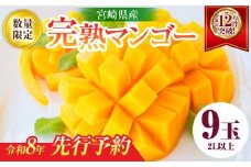 リピーター続出!!宮崎県産 完熟 マンゴー 2L以上×9玉 令和8年発送分 数量限定 フルーツ 果物 果汁 希少 濃厚 ジューシー 贅沢 上質 ご褒美 人気 国産 食品 おやつ デザート 産地直送 おすすめ ギフト プレゼント 贈り物 お土産 手土産 南国 日南市 送料無料_IE5-25