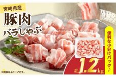 宮崎県産 豚肉 バラしゃぶ 計1.2kg 国産 食品 豚バラ スライス しゃぶしゃぶ 冷しゃぶ 鍋 炒め物 豚丼 焼肉 BBQ 個包装 小分け パック おすすめ おかず お弁当 晩ご飯 手軽 便利 万能食材 ギフト 贈り物 冷凍 日南市 送料無料_BC125-25