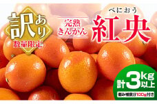 先行予約 訳あり 完熟 きんかん 紅央 計3kg以上 傷み補償分付き 数量限定 期間限定 訳アリ フルーツ 果物 くだもの 柑橘 金柑 おすすめ おすそ分け 国産 食品 デザート ブランド 希少 ご家庭用 ご自宅用 お取り寄せ 特産品 産地直送 宮崎県 日南市 送料無料_BAV7-25